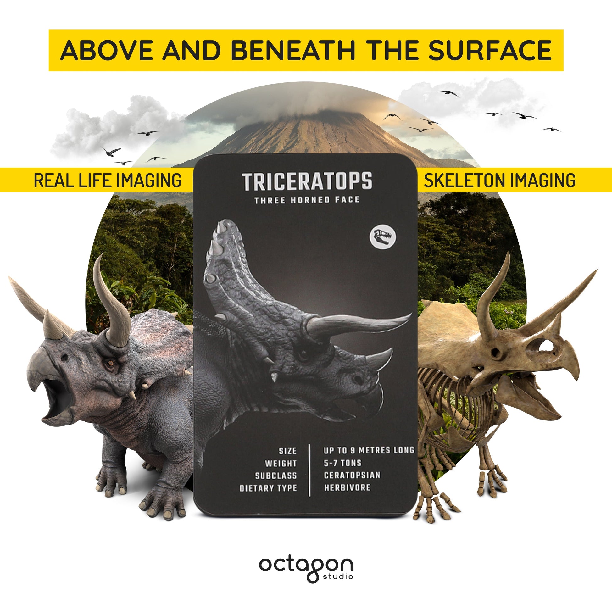 Dinosaur 4D+ Augmented Reality Cards-3