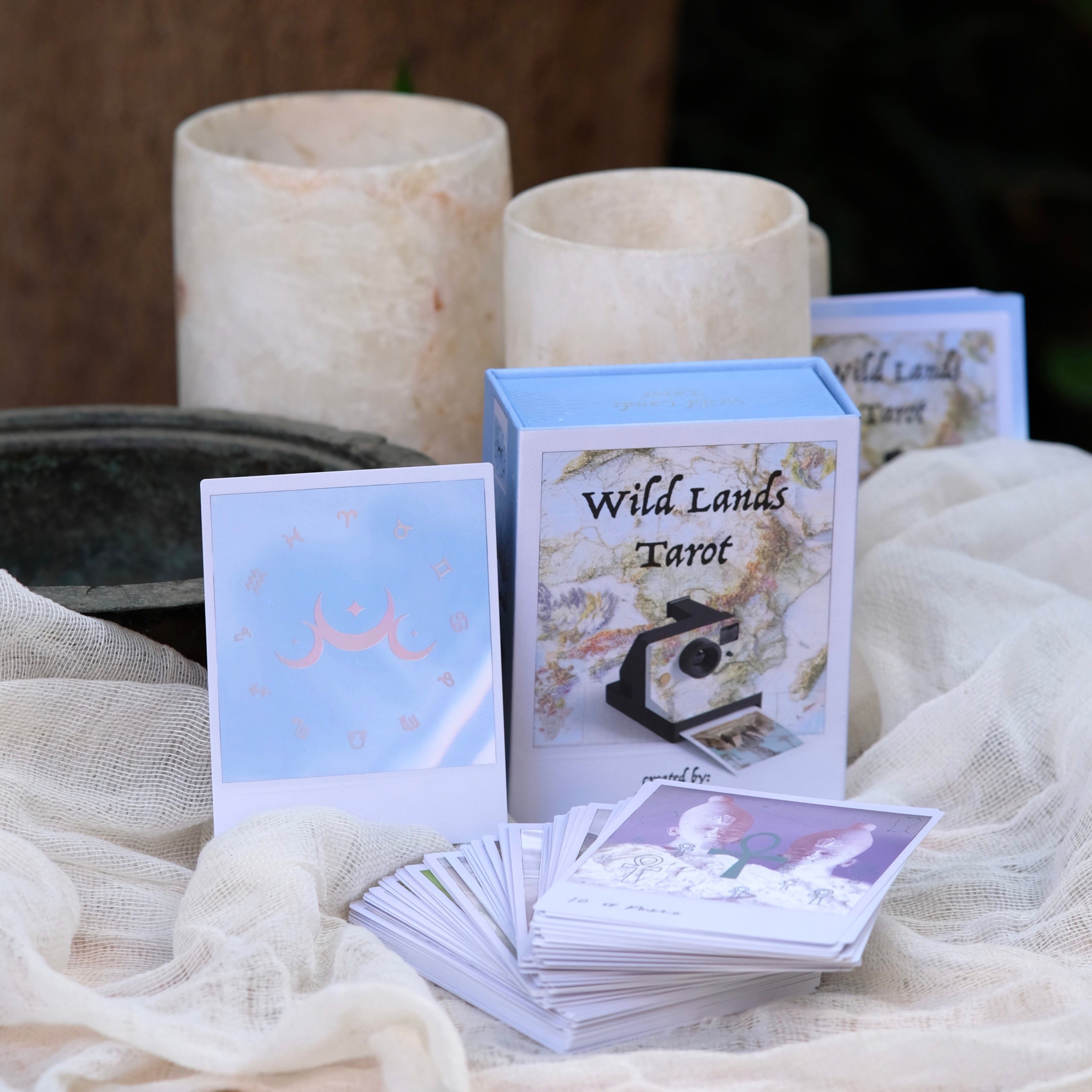 Wild Lands Tarot-0