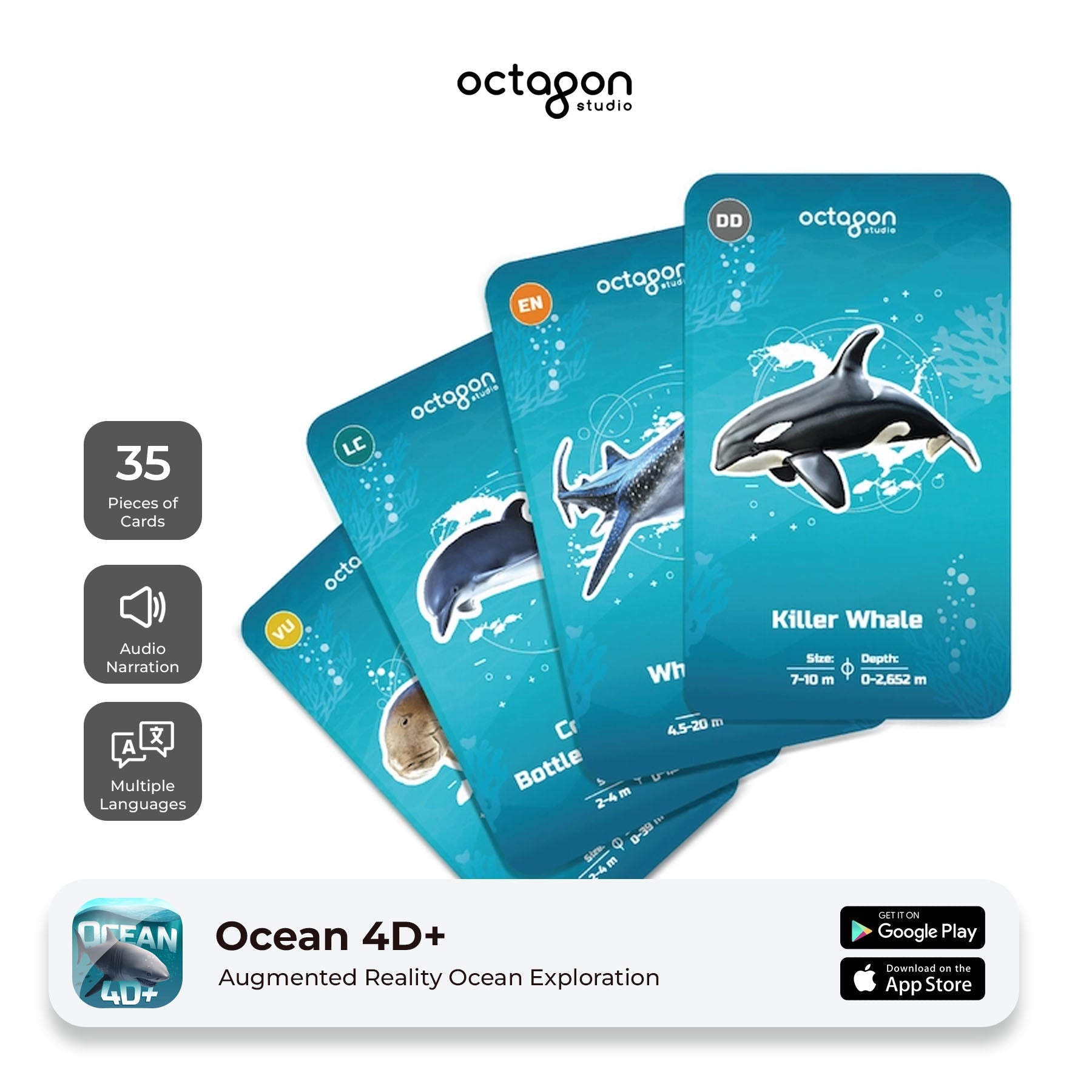 Ocean 4D+ Augmented Reality Cards-3