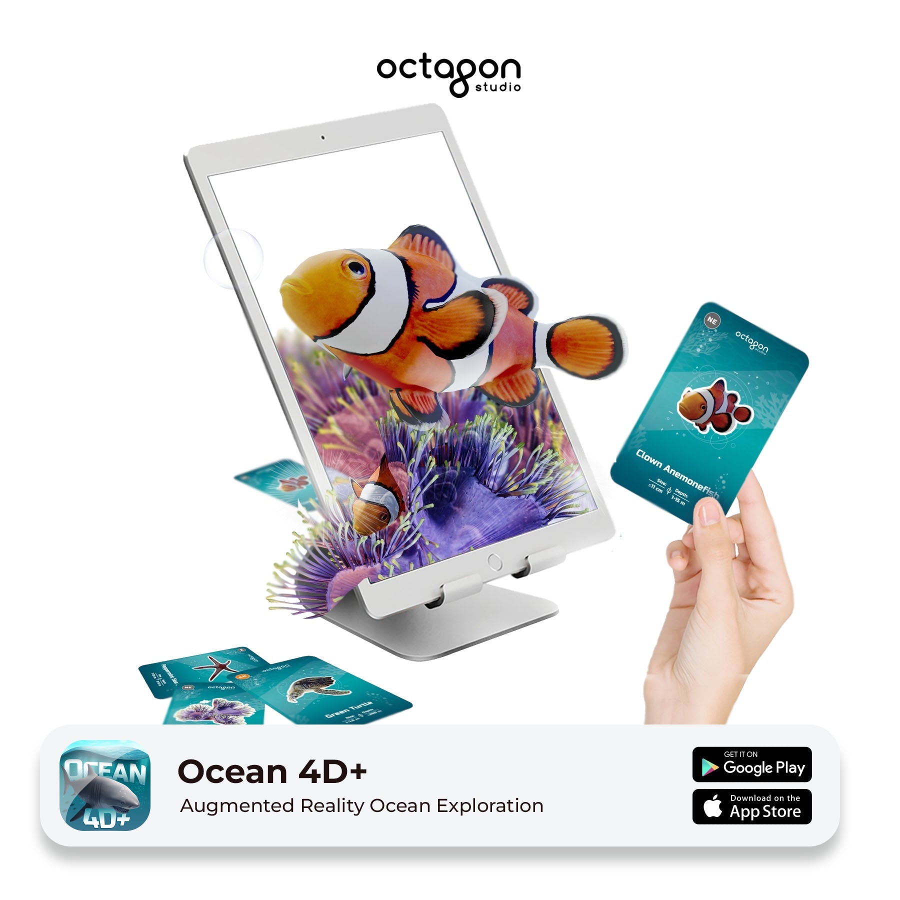 Ocean 4D+ Augmented Reality Cards-4