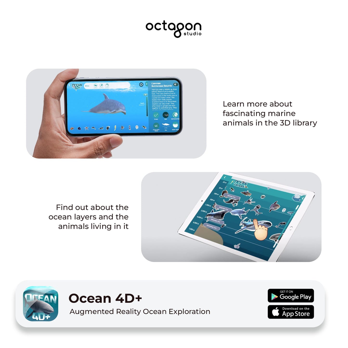 Ocean 4D+ Augmented Reality Cards-1